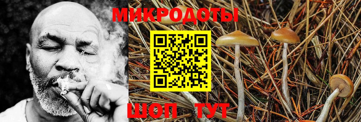 Галлюциногенные грибы прущие грибы  Галлюциногенные грибы ЛСД  Кашира  Вход с VPN 