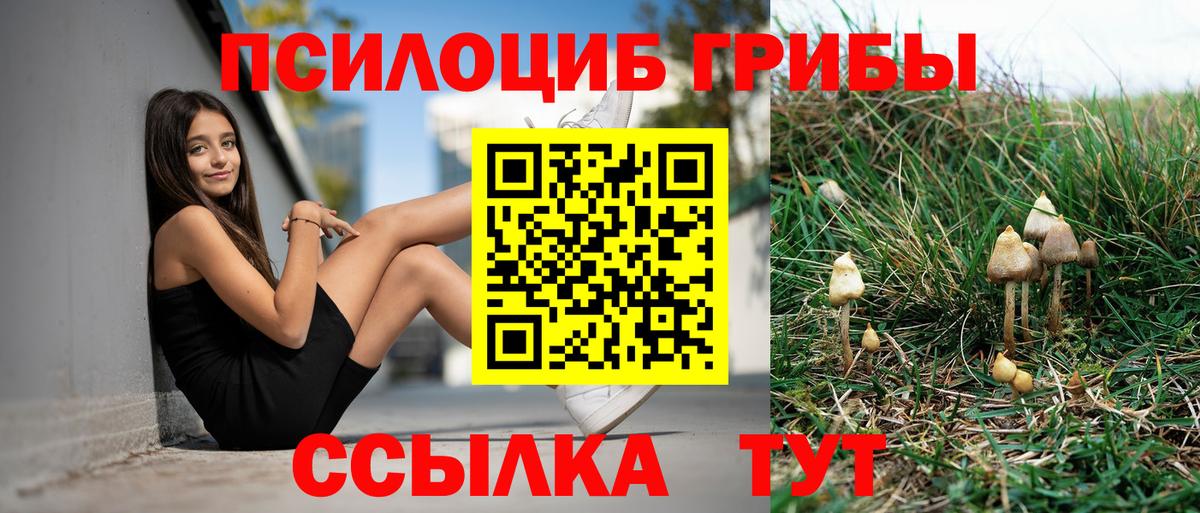 Галлюциногенные грибы GOLDEN TEACHER Кашира